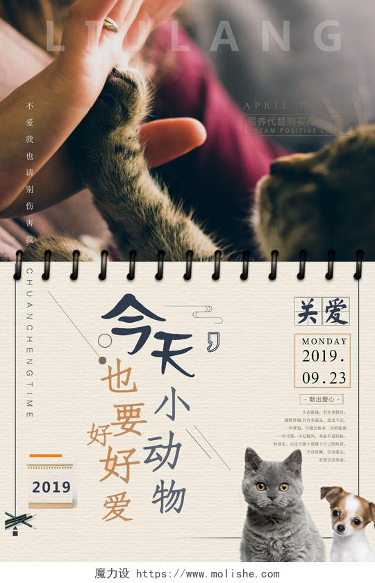 流浪猫狗关爱小动物爱心公益海报